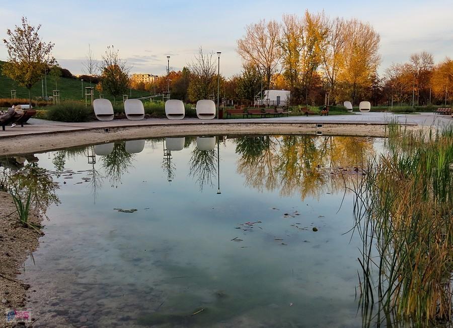 Staw pod Kopą Cwila