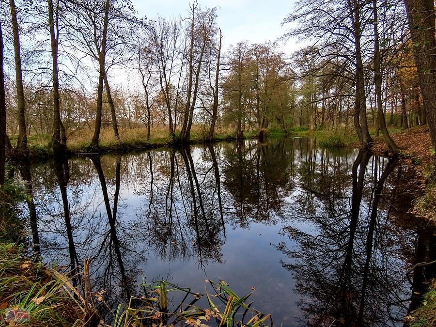 Staw w Parku Zdrojowym połączony jest z Jeziorką