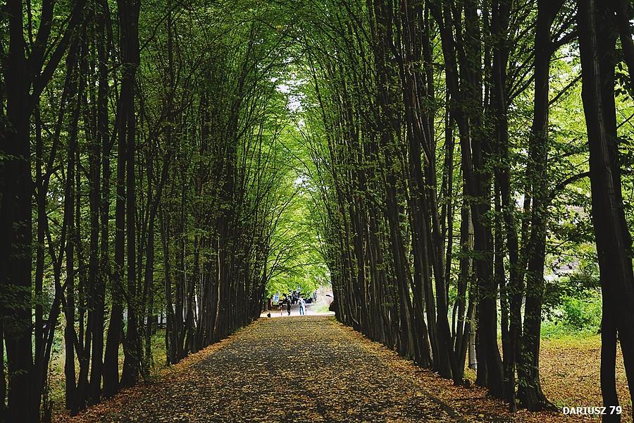 Siemianowice Śląskie