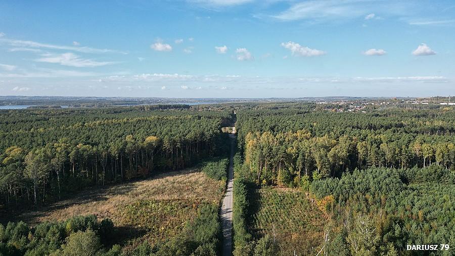 Dąbrowa Górnicza - Antoniów
