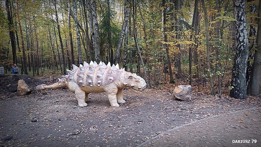 Sosnowiec Kazimierz - Park Miejski Imienia Jacka Kuronia