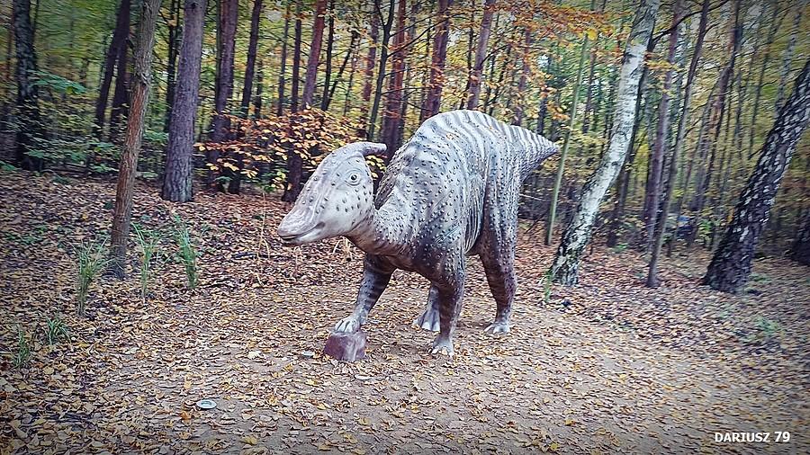 Sosnowiec Kazimierz - Park Miejski Imienia Jacka Kuronia