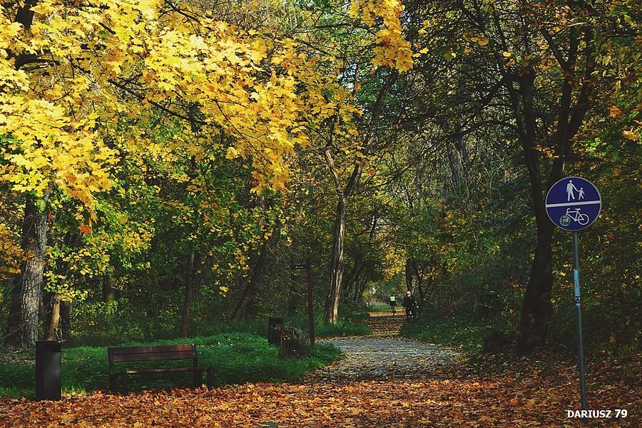 Będzin - Park Małpi Gaj
