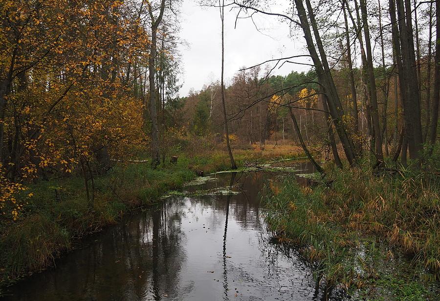 Ilanka pod Starościnem