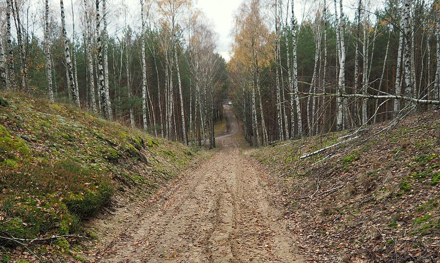 Do domu z górki :).