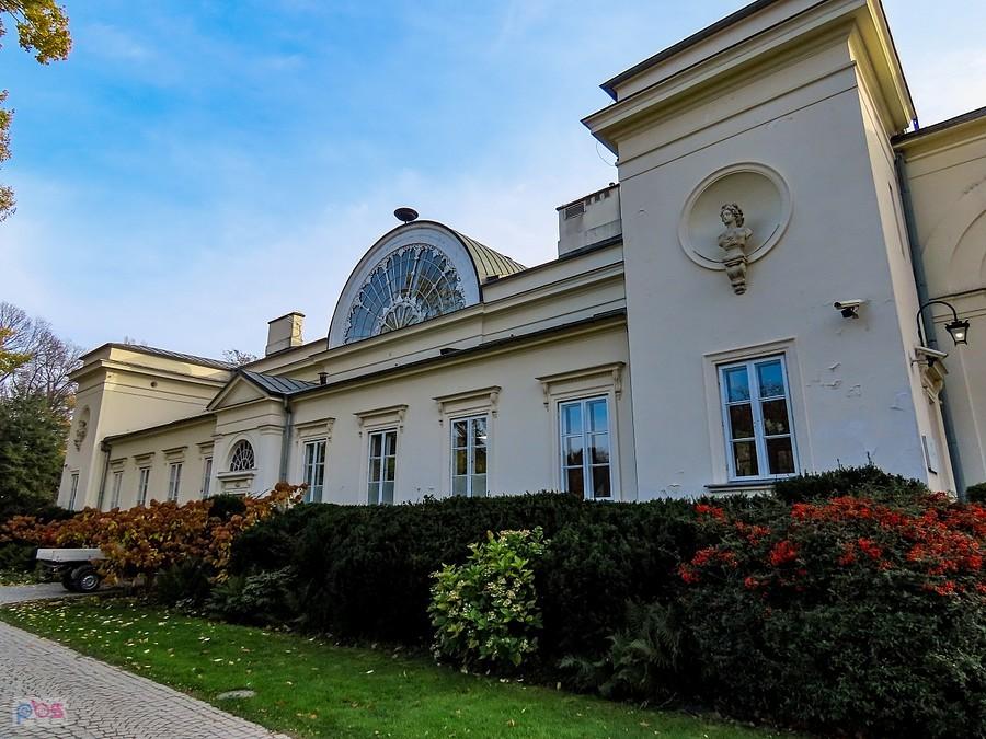 Z tyłu Nowej Pomarańczarni