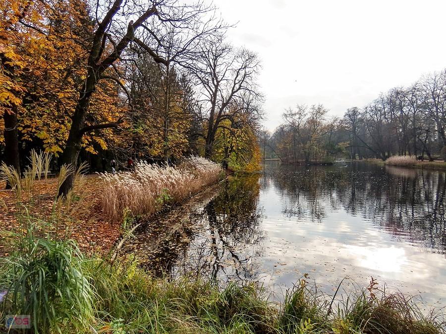 Staw Południowy Górny
