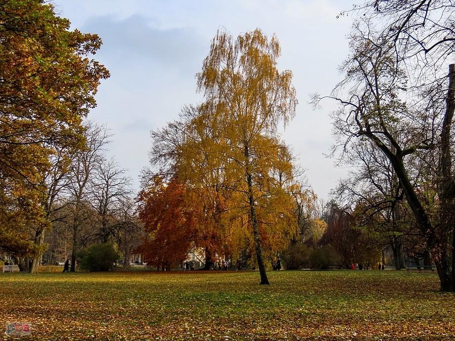 Jesień w łazienkach Królewskich