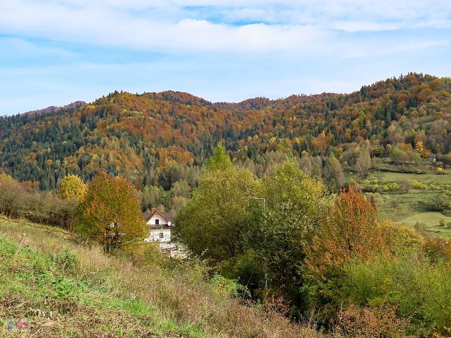 Gabańka z ul. Św. Krzyża