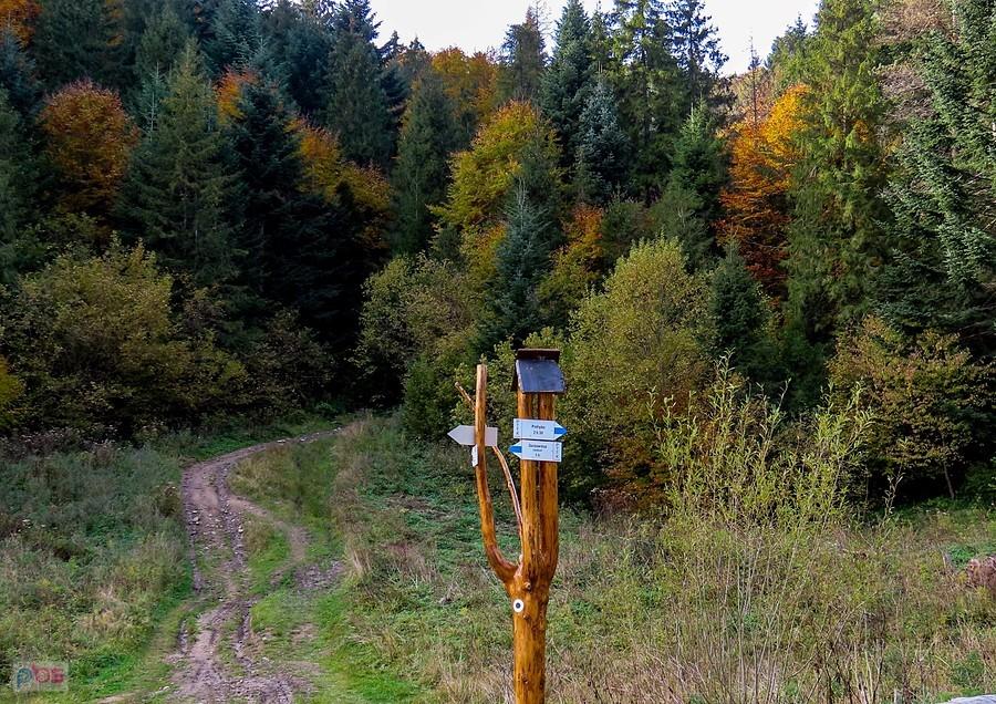 Do góry odbija szlak na Berśnik