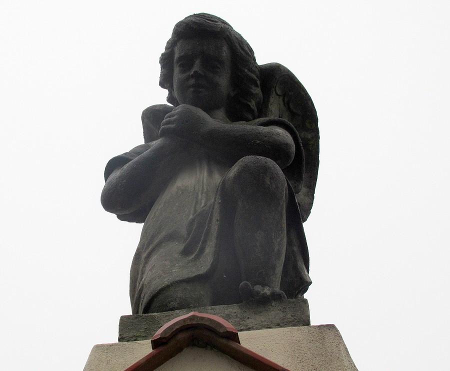 Anioł z Wirów