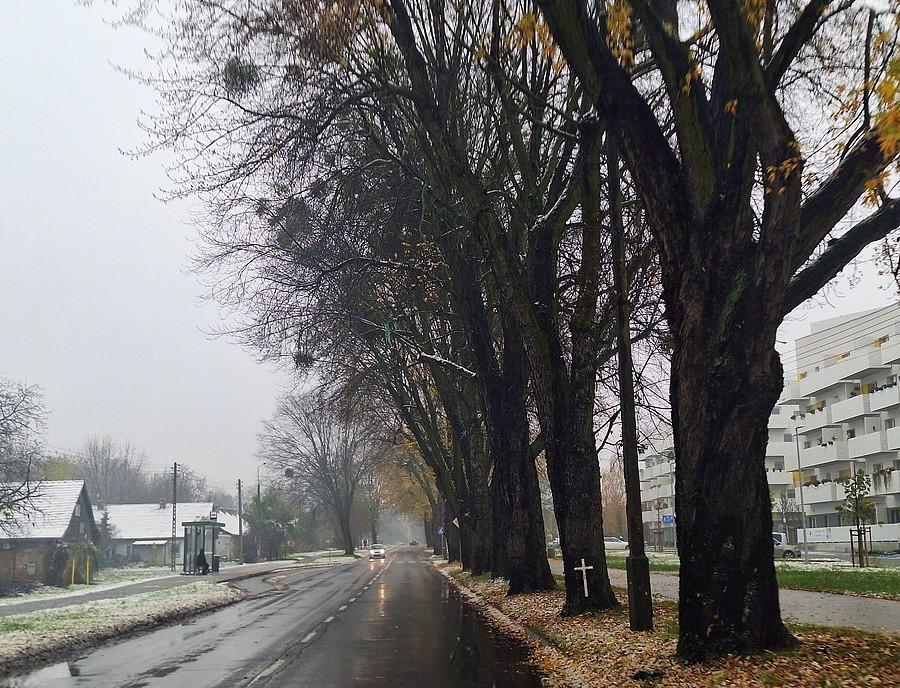 Opolska w deszczu i śniegu