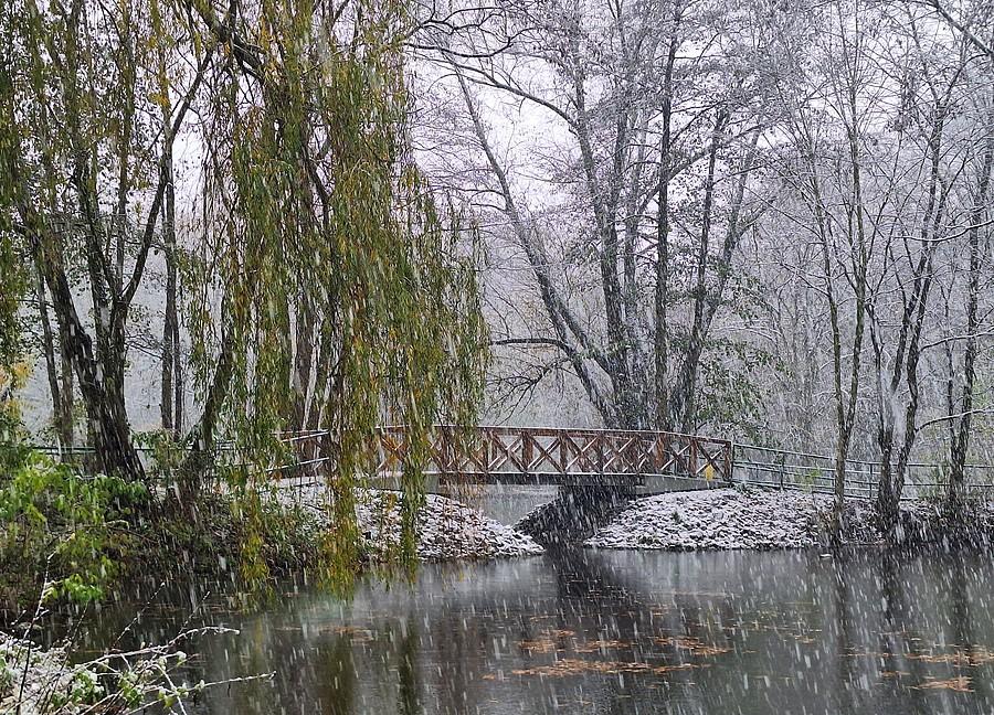Mostek na poznańskiej Dębinie w śniegu
