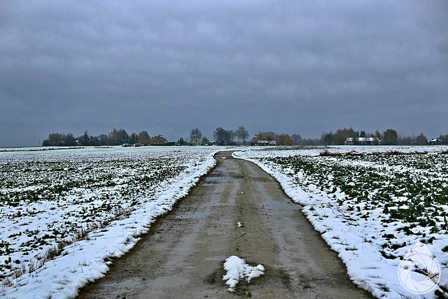 mały wyskok terenowy