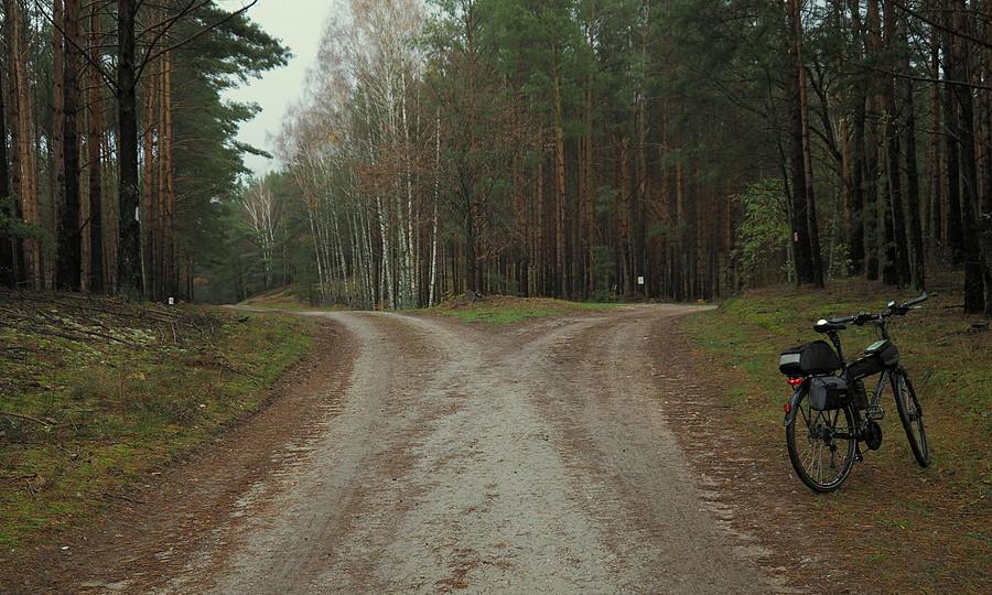 Na rozstajach
