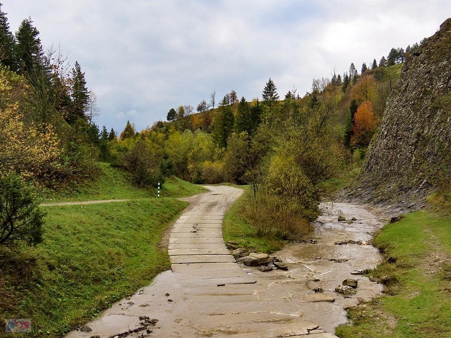 Widok z mostku