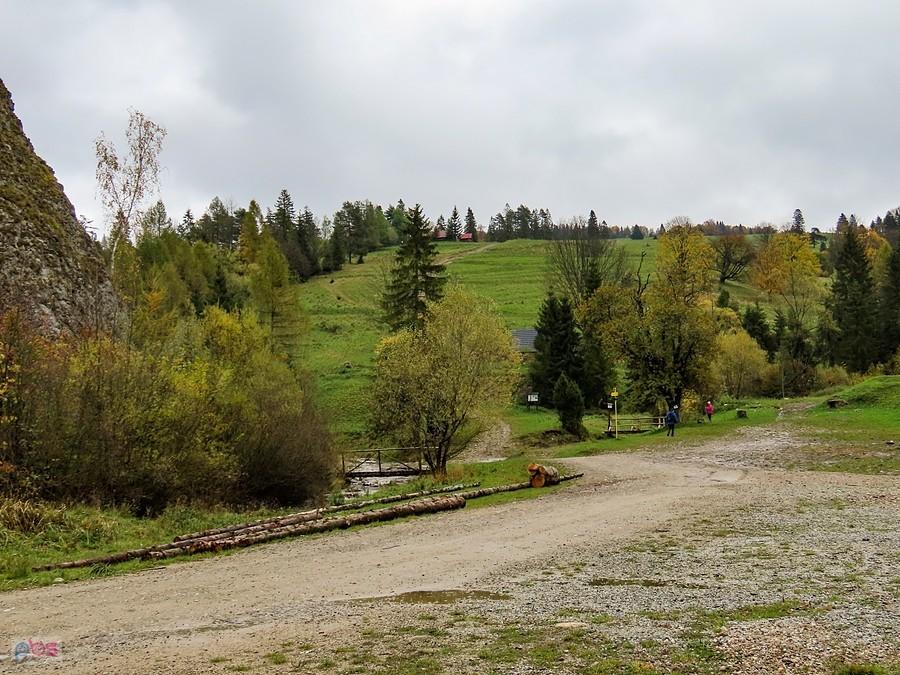 Dolina przy Kociubylskiej Skale