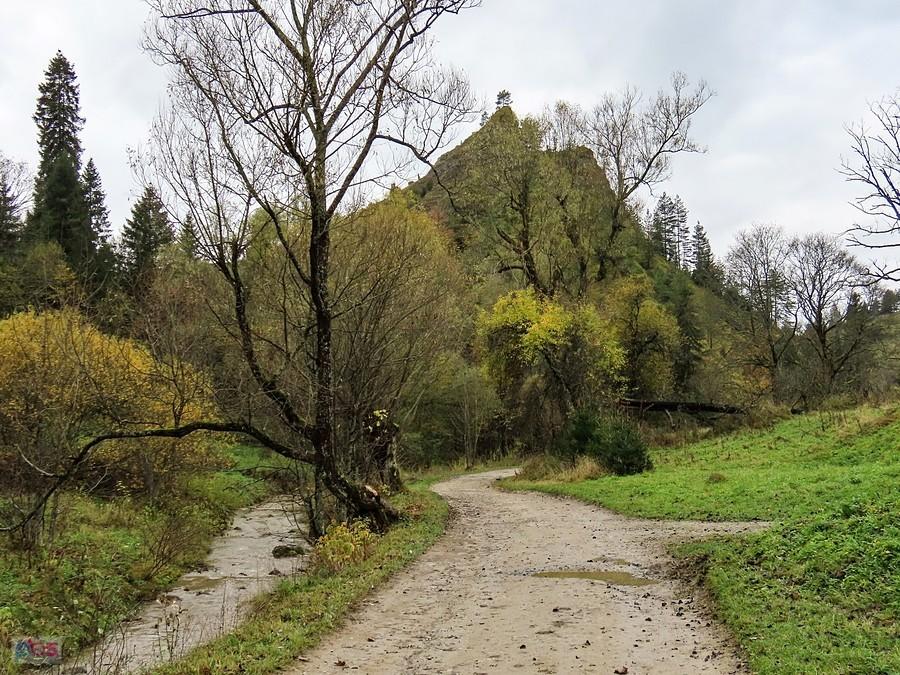 Droga pod Smolegową Skałą