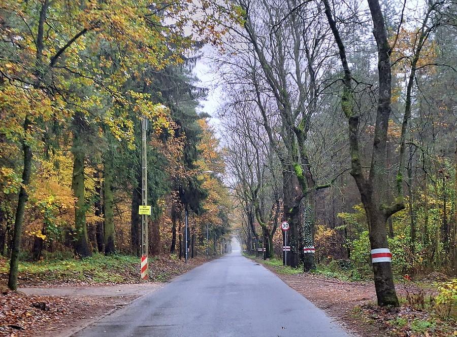 Jeszcze troszkę kolorów na poznańskim Sypniewie