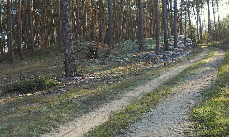 Kopce nad Obrą