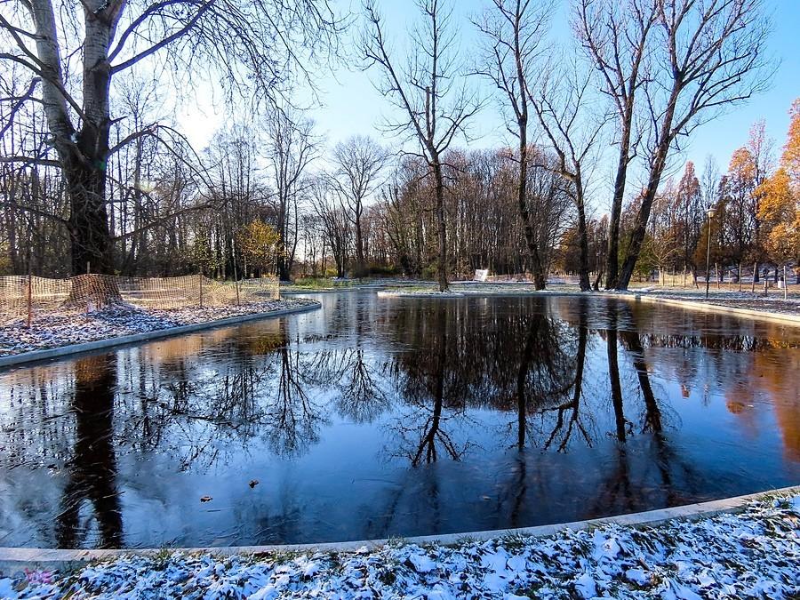 Oczka wodne na Polu Mokotowskim
