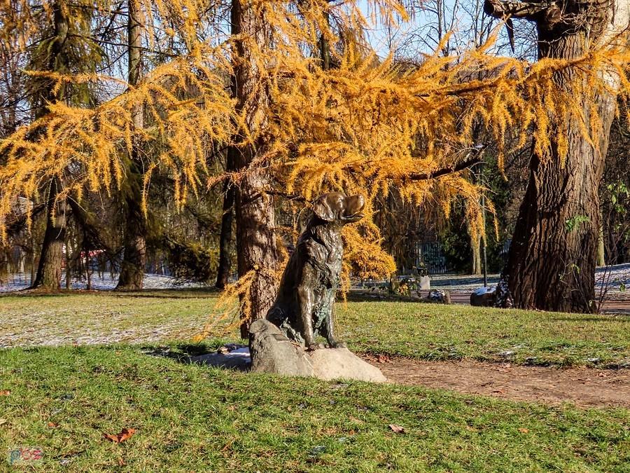 Szczęśliwy Pies przysiadł pod modrzewiem