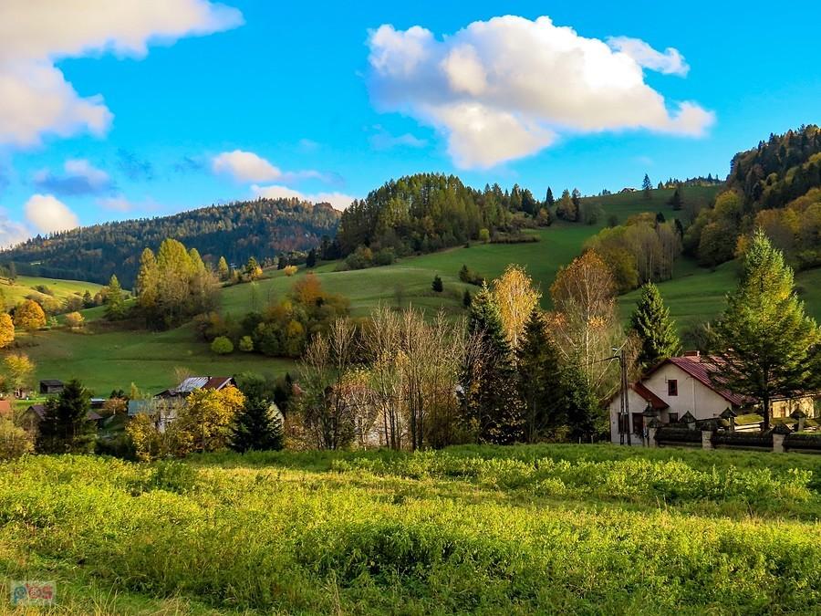 Grzbiet pomiędzy Wąwozem Homole a Skalskim Potokiem