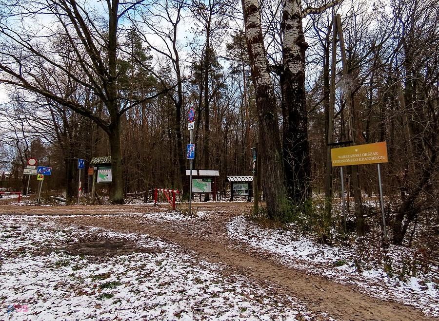 Wejście do Lasu Kabackiego - jeszcze parę tablic się zmieści