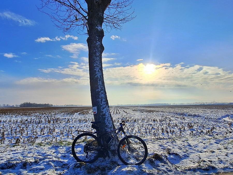 Mroźna i słoneczna rowerówka