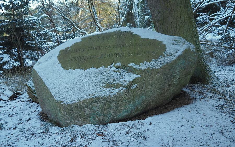 Głaz "Tadek" w zimowej odsłonie