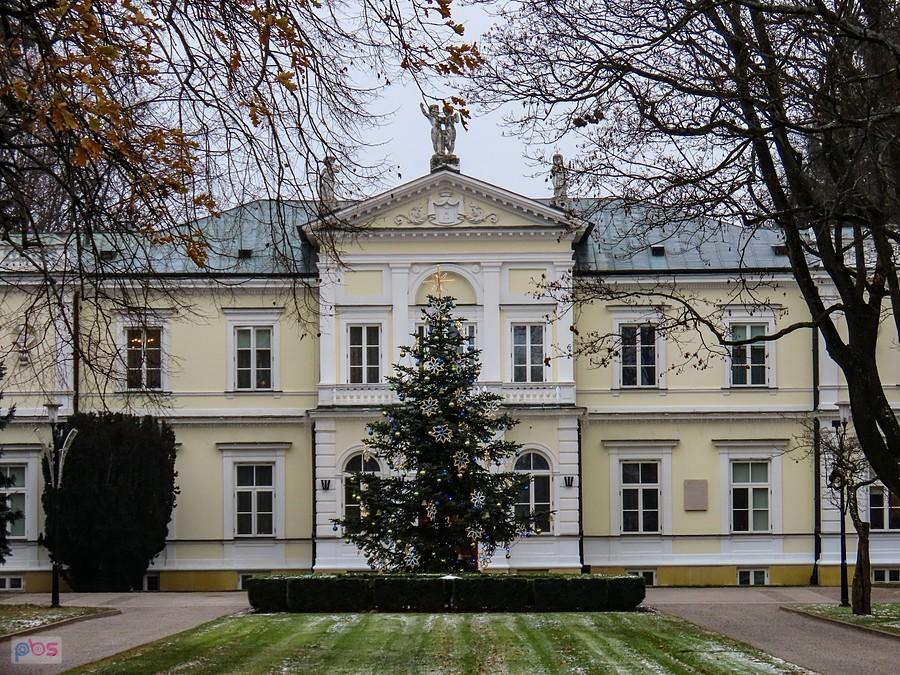 Choinka przed pałacem Krasińskich