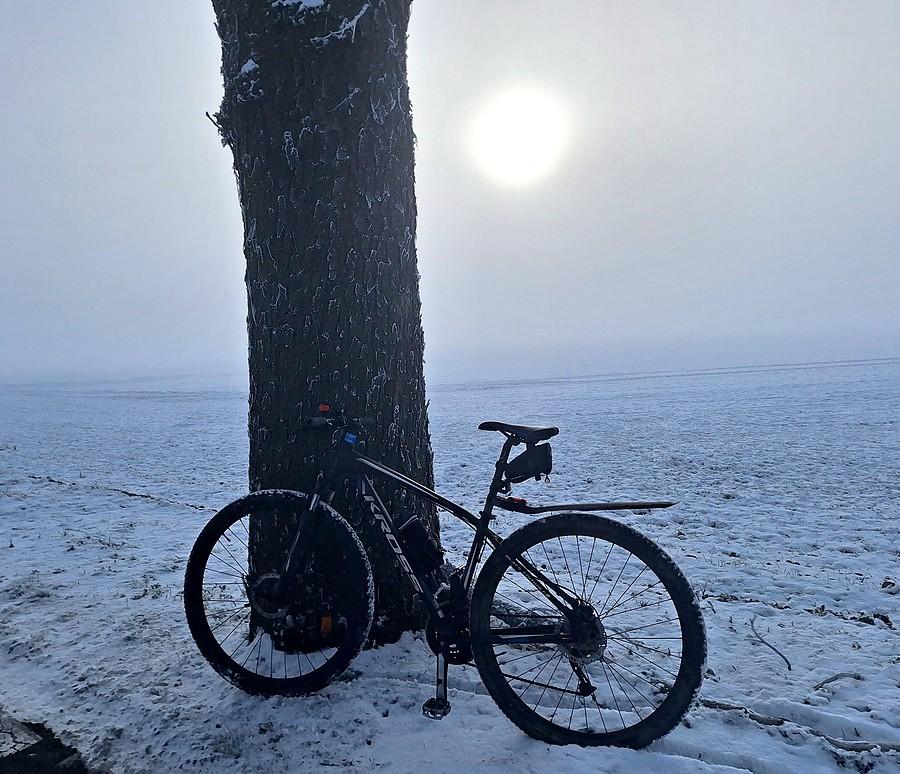 Rowerówka we mgle