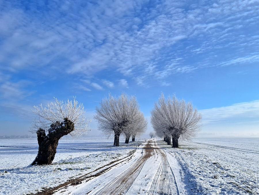 Błękit oraz biel