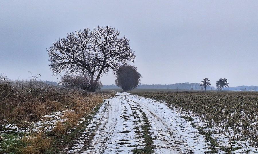 Śniegowa trasa