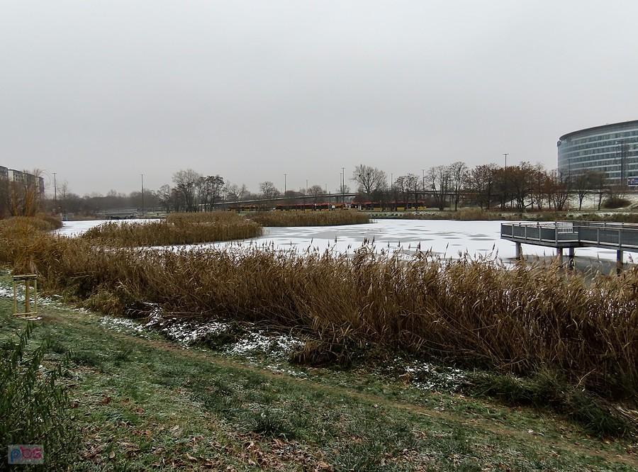 Staw Służewiecki