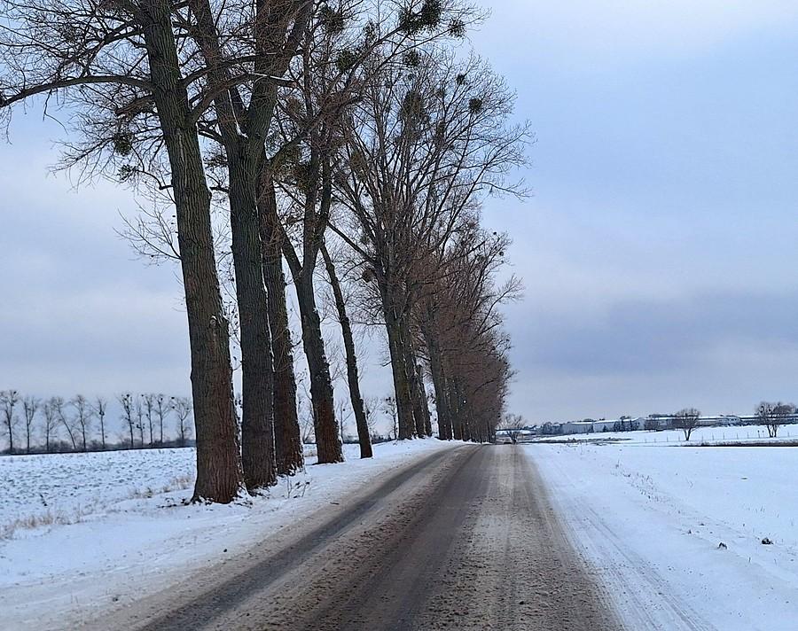 Pierwsze muldy na dzisiejszej trasie