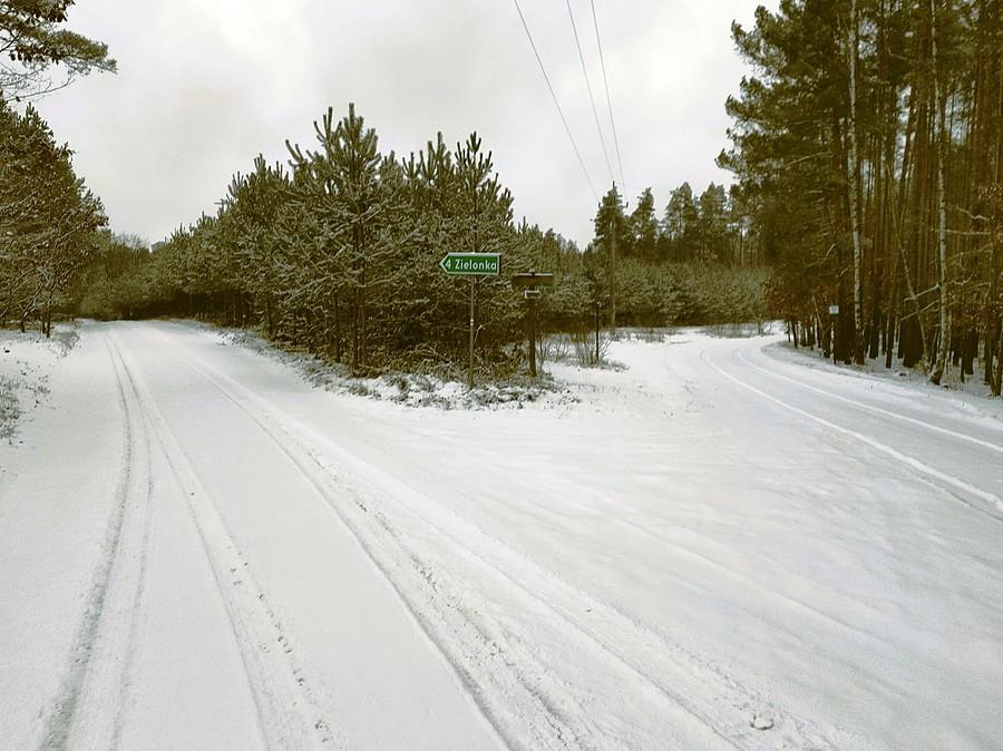 Puszcza Zielonka