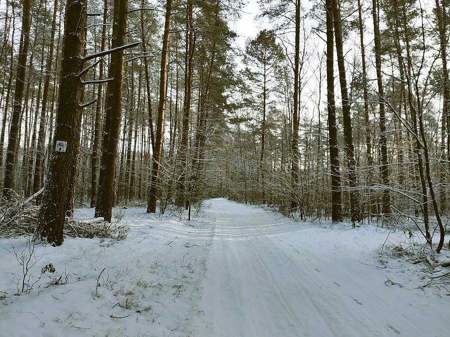 Droga Pławno - Tuczno