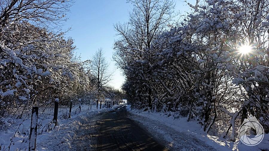 śniegowa breja w stronę Zielonek
