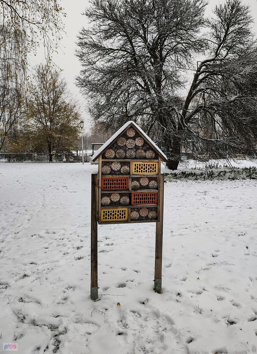 Domek dla owadów