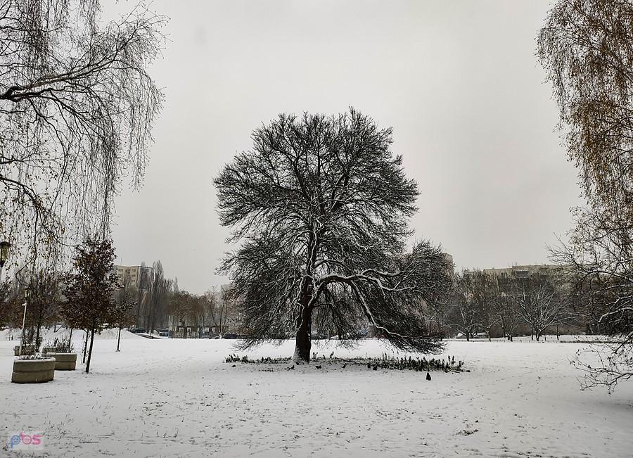 Na Polanie Olkówek