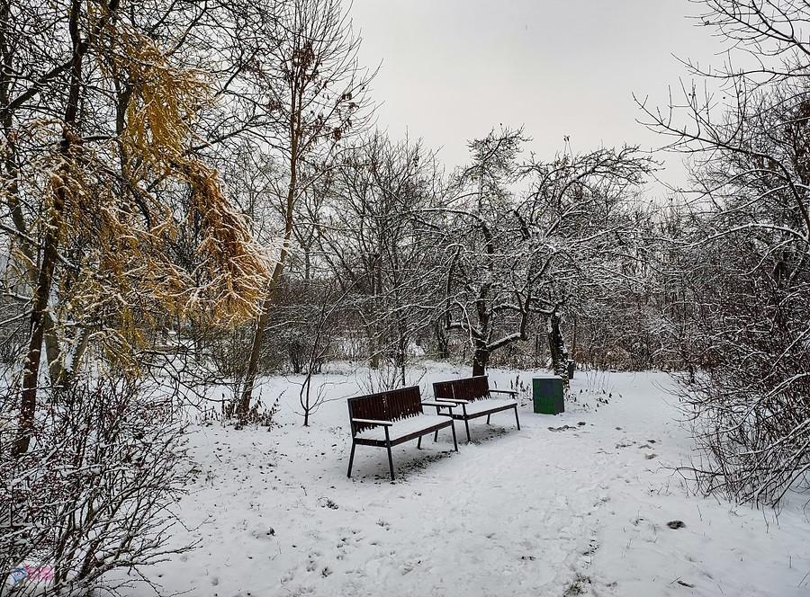 Park na ogródkach działkowych