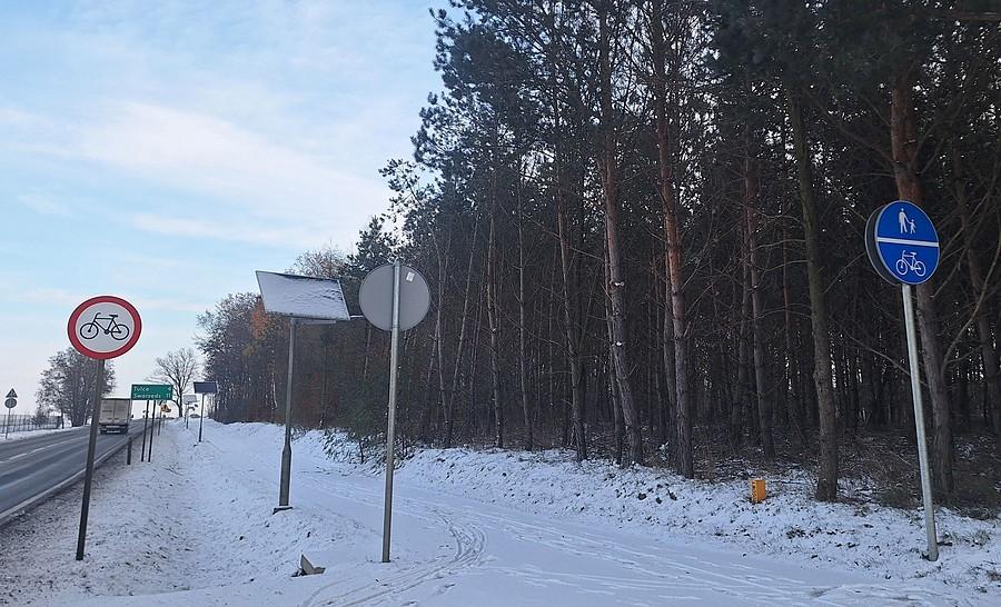 Polska w pigułce