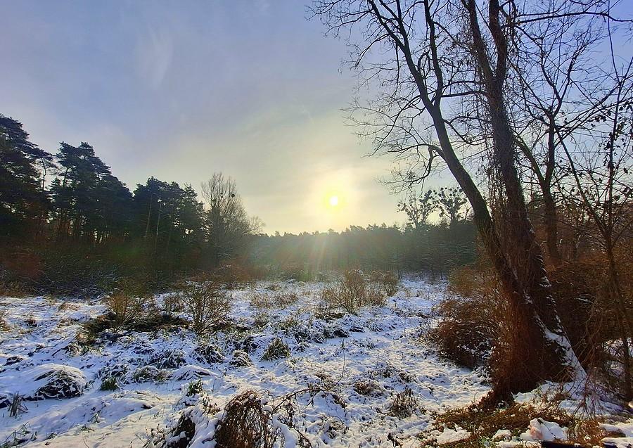 Słońce nad poznańską Głuszyną