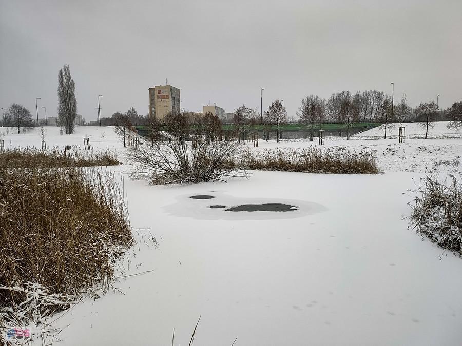 Nad stawem Kaczeńcowym
