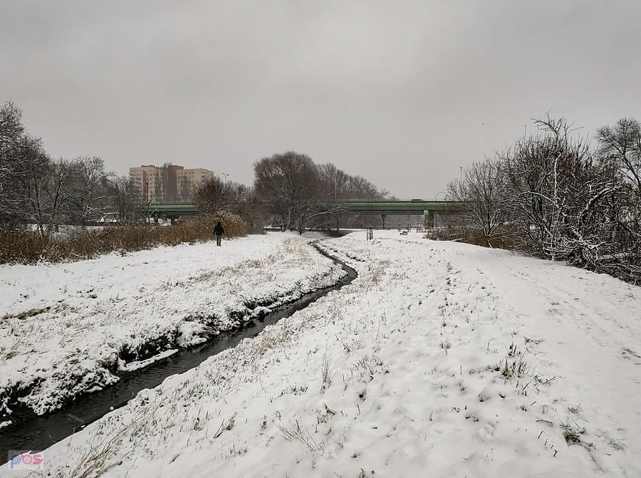 Potok Służewiecki