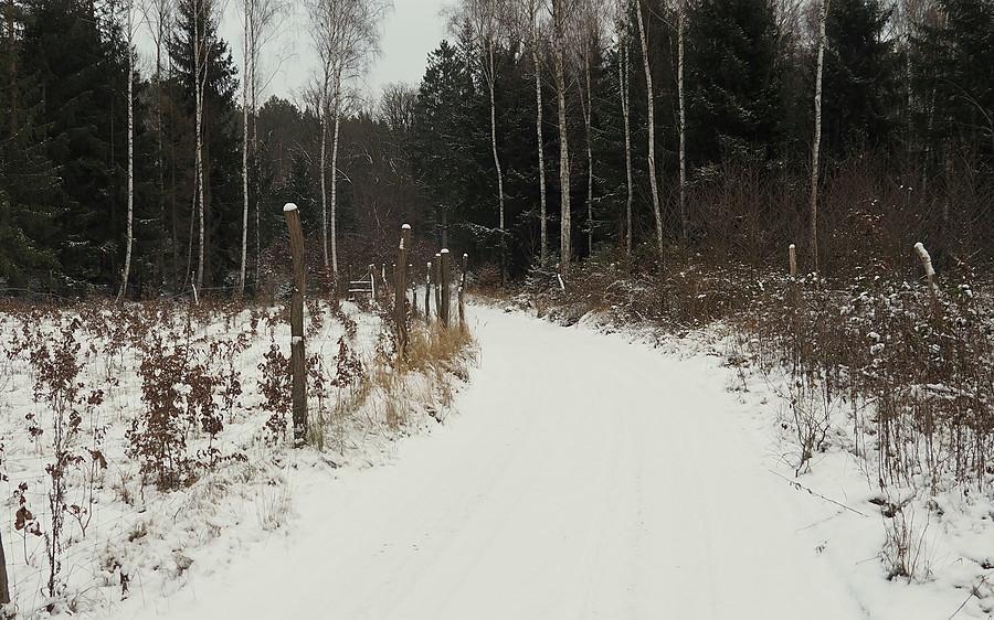 Dojazd pożarowy nad Lubniewką
