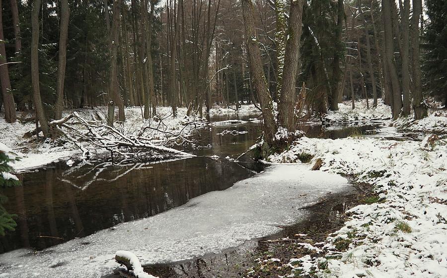 Nad Lubniewką