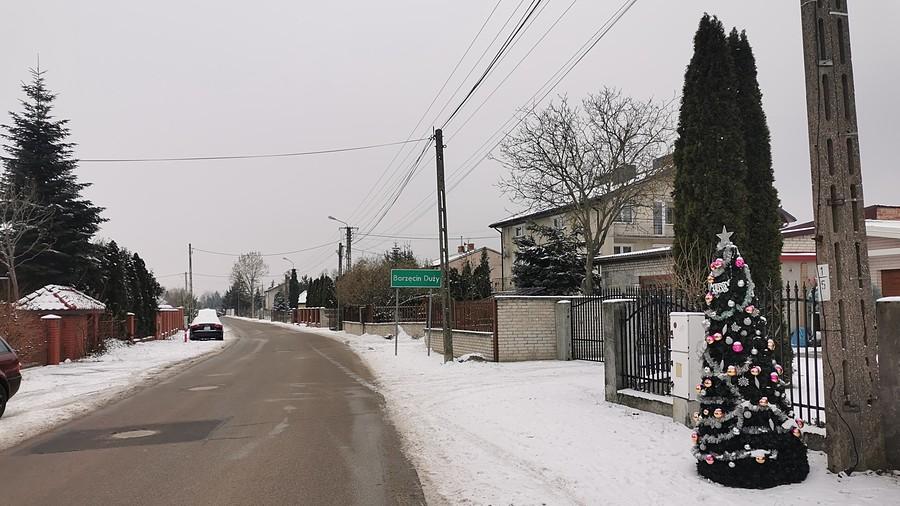 Choinka w Borzęcinie