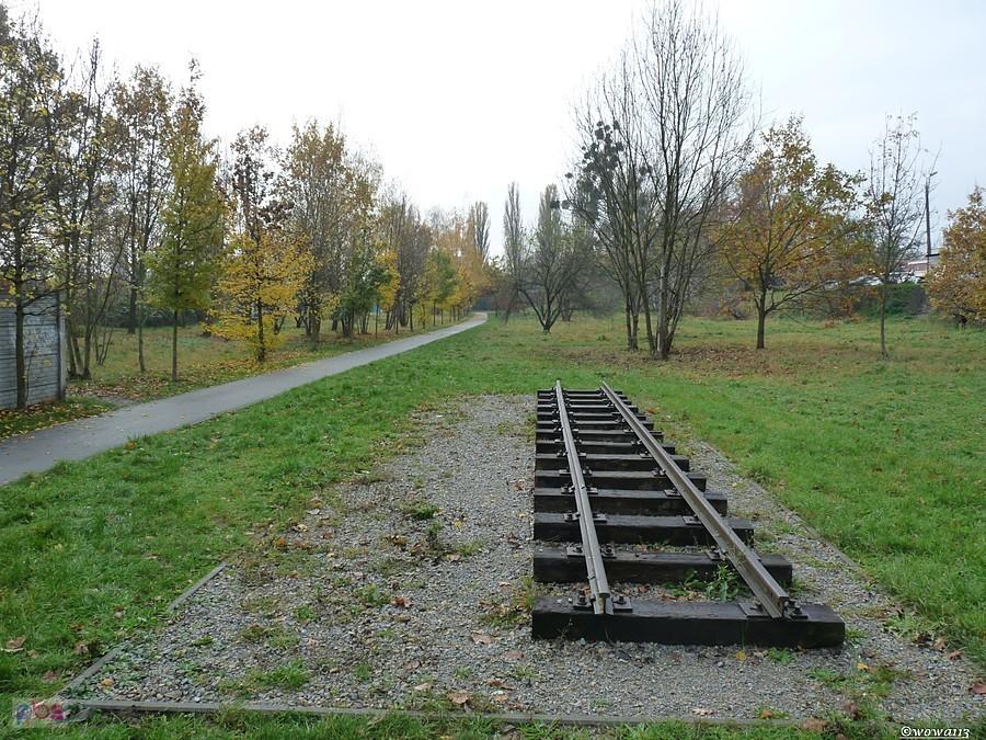 Po wąskim torze w Gliwicach